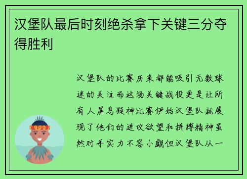 汉堡队最后时刻绝杀拿下关键三分夺得胜利