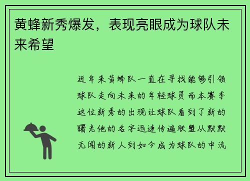 黄蜂新秀爆发，表现亮眼成为球队未来希望