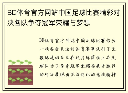 BD体育官方网站中国足球比赛精彩对决各队争夺冠军荣耀与梦想