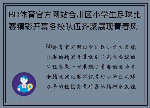 BD体育官方网站合川区小学生足球比赛精彩开幕各校队伍齐聚展现青春风采
